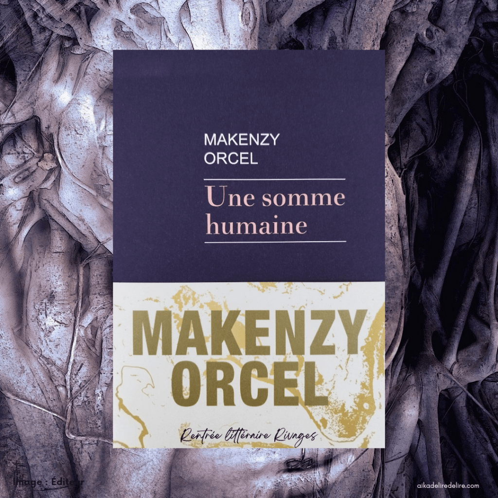 Qu’est-ce qu’une somme humaine ?