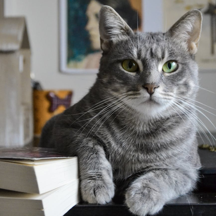 C&rsquo;est lundi, que lisez vous ?&nbsp;#2