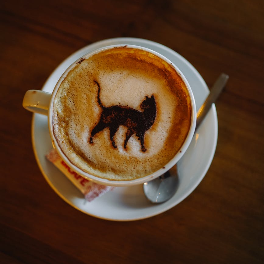 C&rsquo;est Lundi, que lisez-vous ?&nbsp;#3