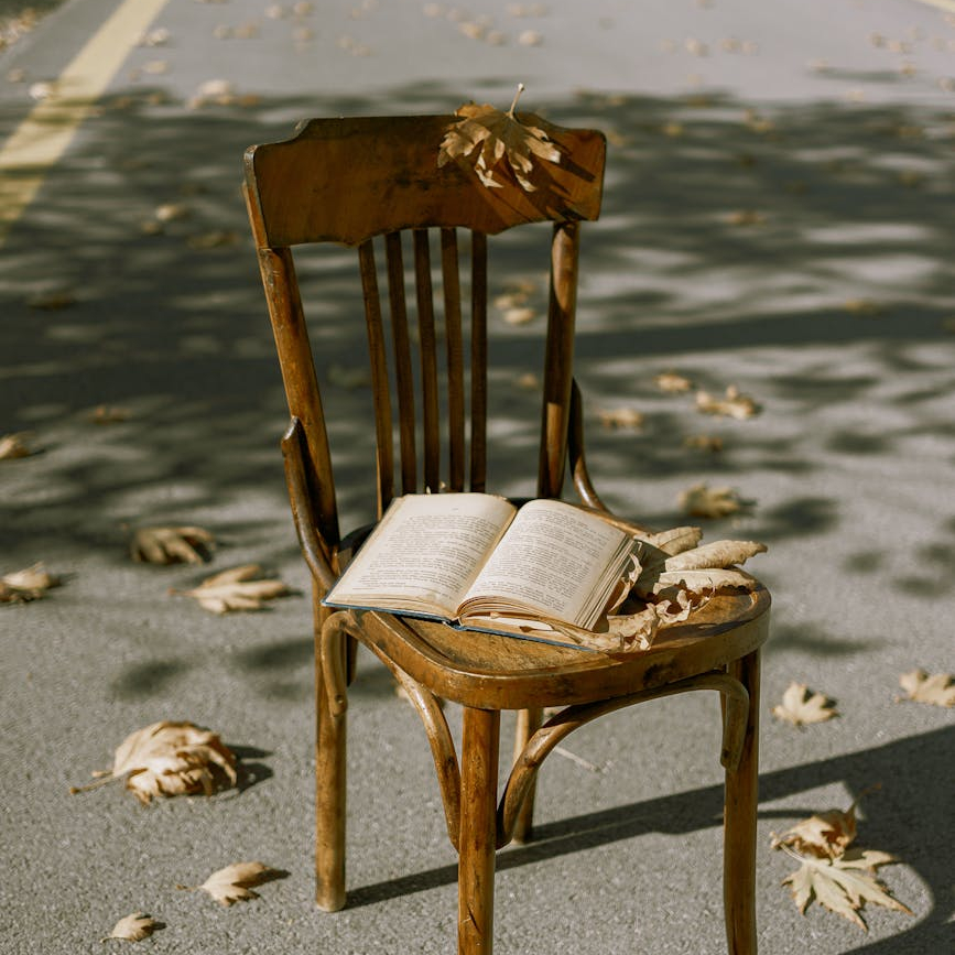 De Lire Délire | Bilan Juillet&nbsp;2024