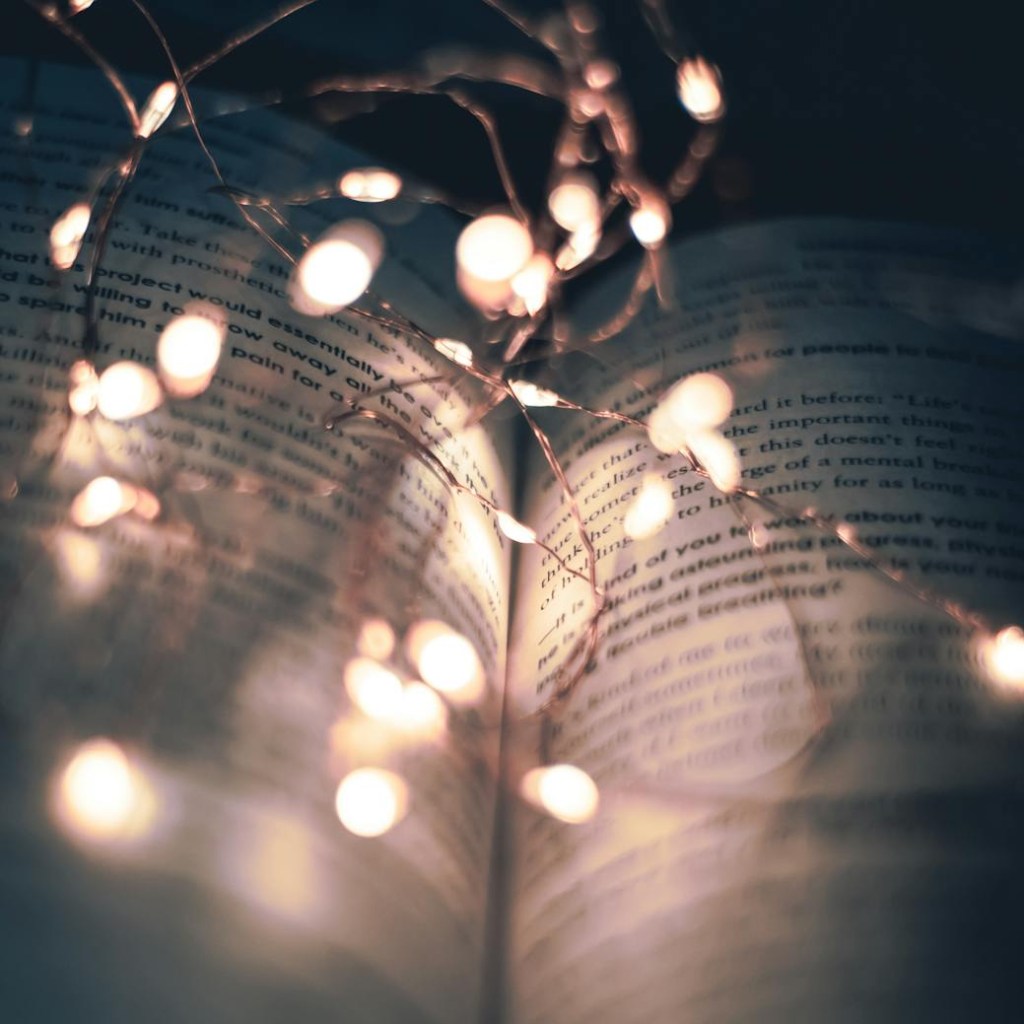 De Lire Délire | PAL Novembre&nbsp;2024