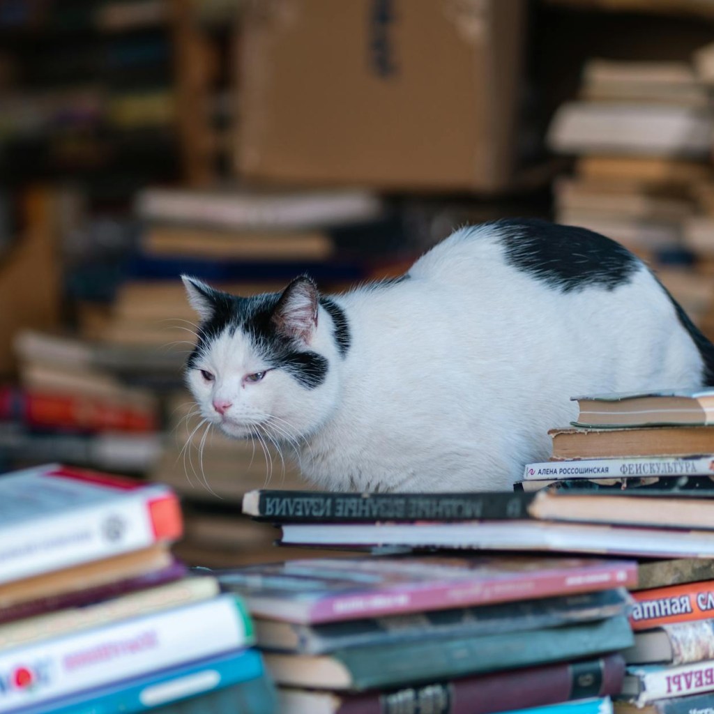 C&rsquo;est Lundi, que lisez-vous ?&nbsp;#10