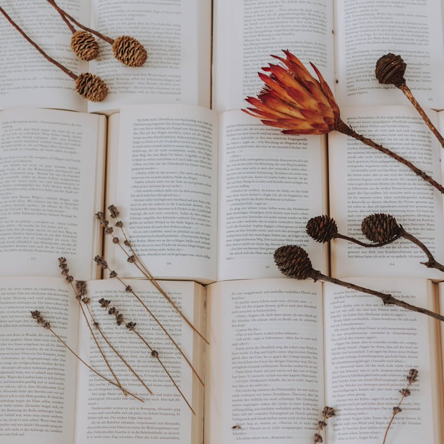 De Lire Délire | PAL octobre&nbsp;2024