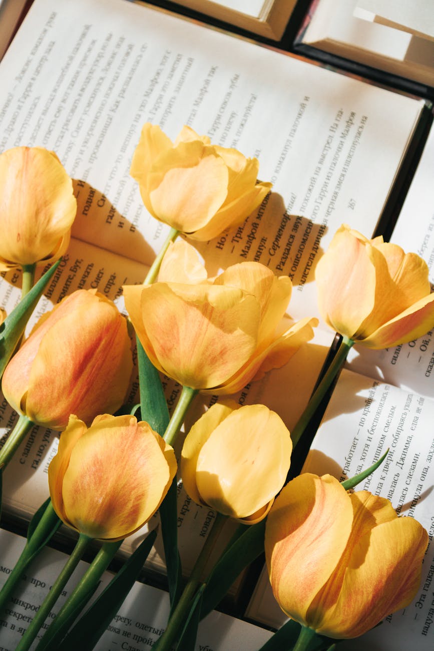 De Lire Délire | Le retour du&nbsp;Printemps